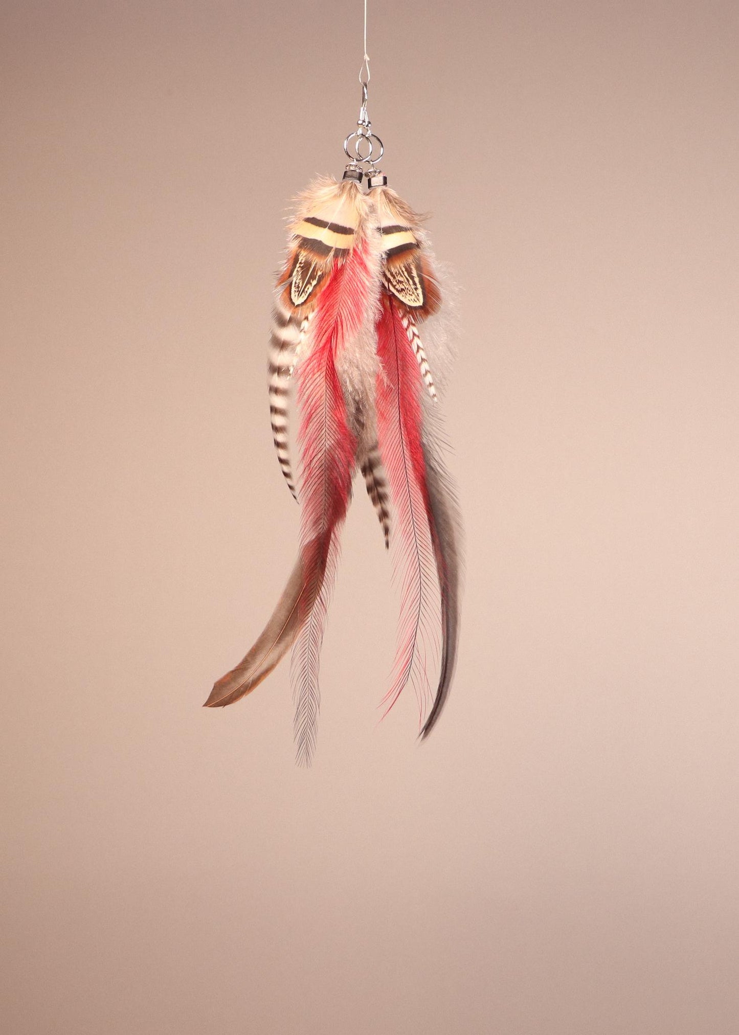 Red, Brown, Grizzly Roosters/Emu/Chukar partridge/Ringneck pheasant