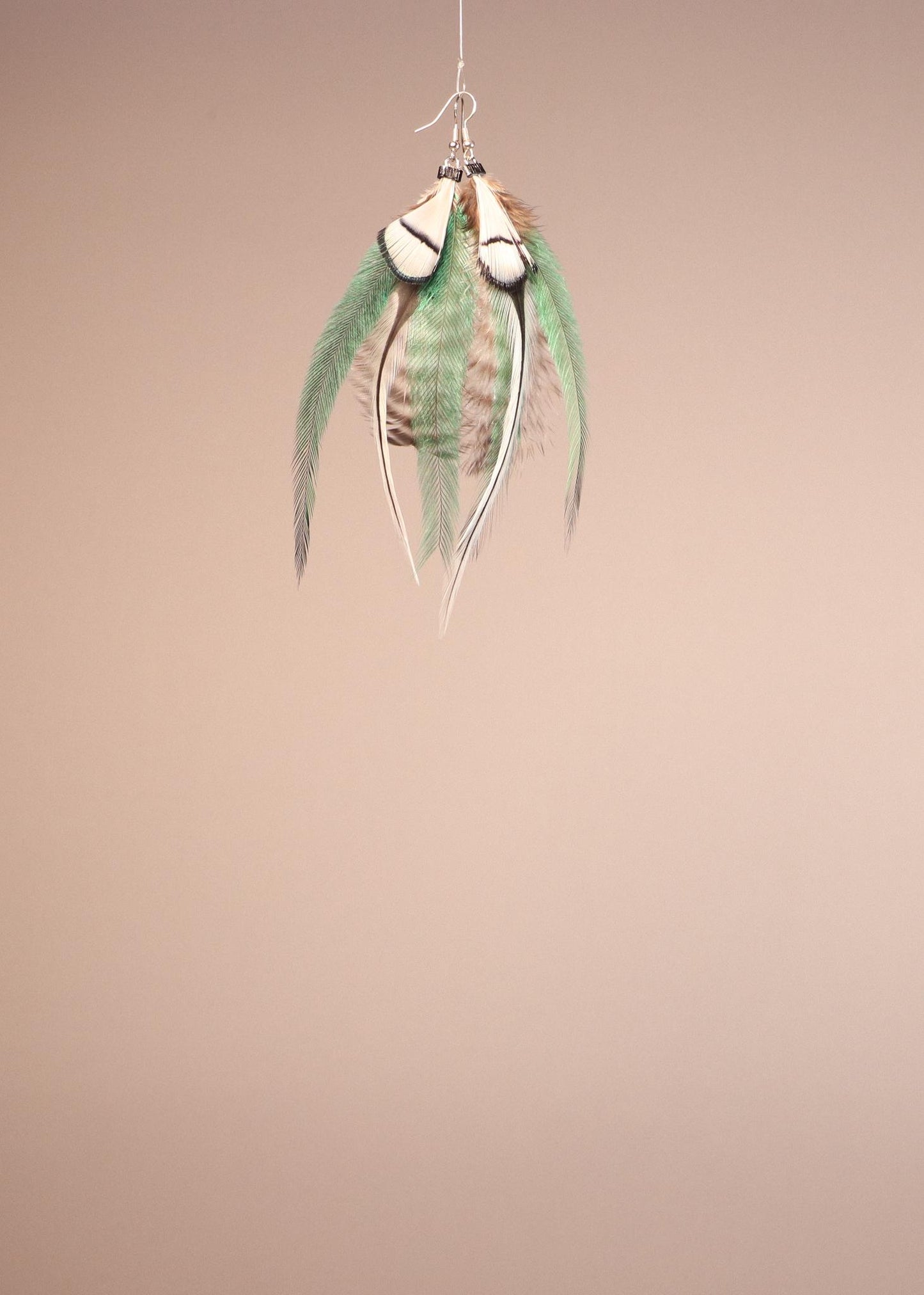Green, White, Grizzly Rooster/Emu/Lady Amherst pheasant