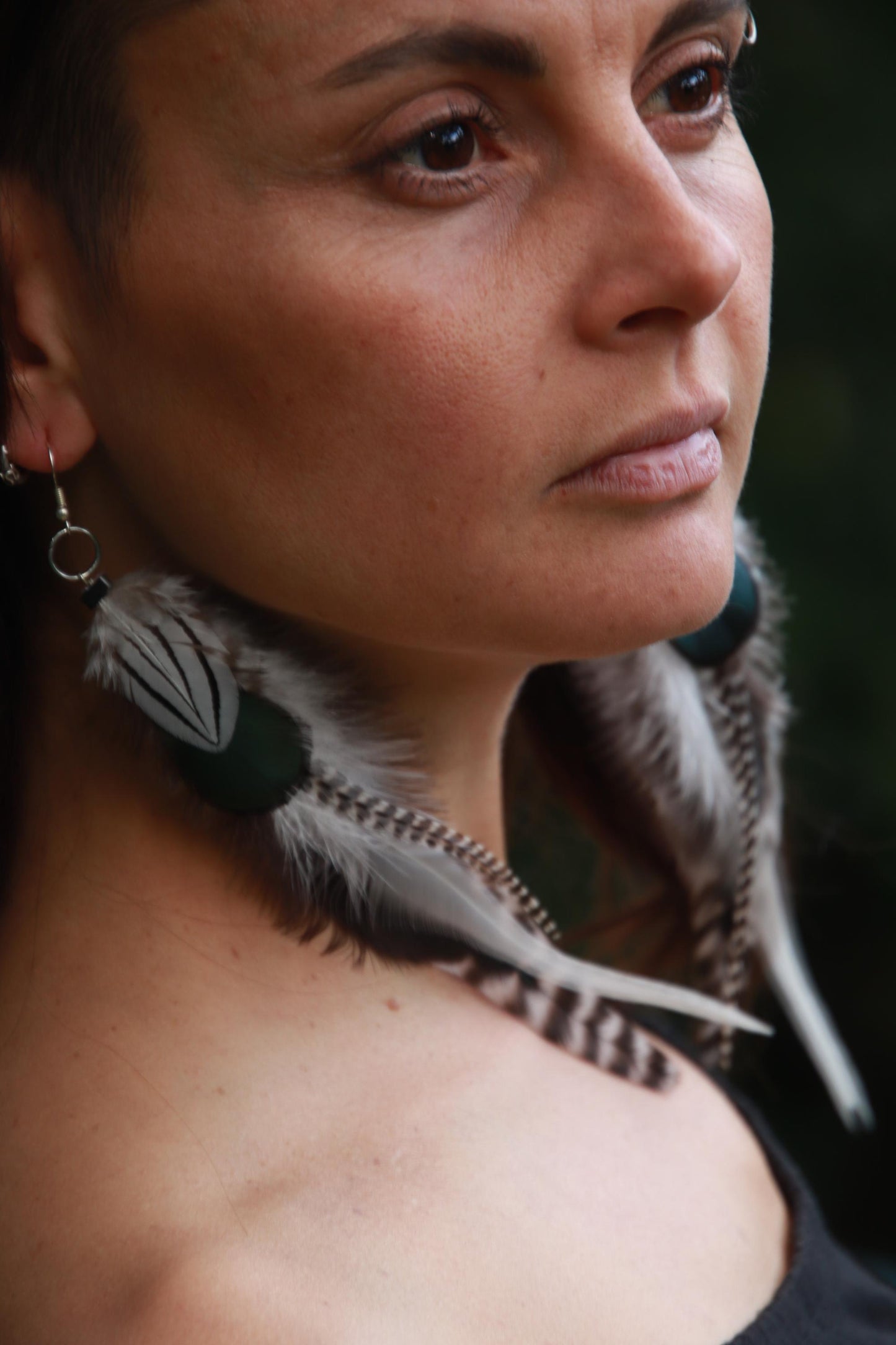 Green, White, Grizzly Roosters/Silver Pheasant