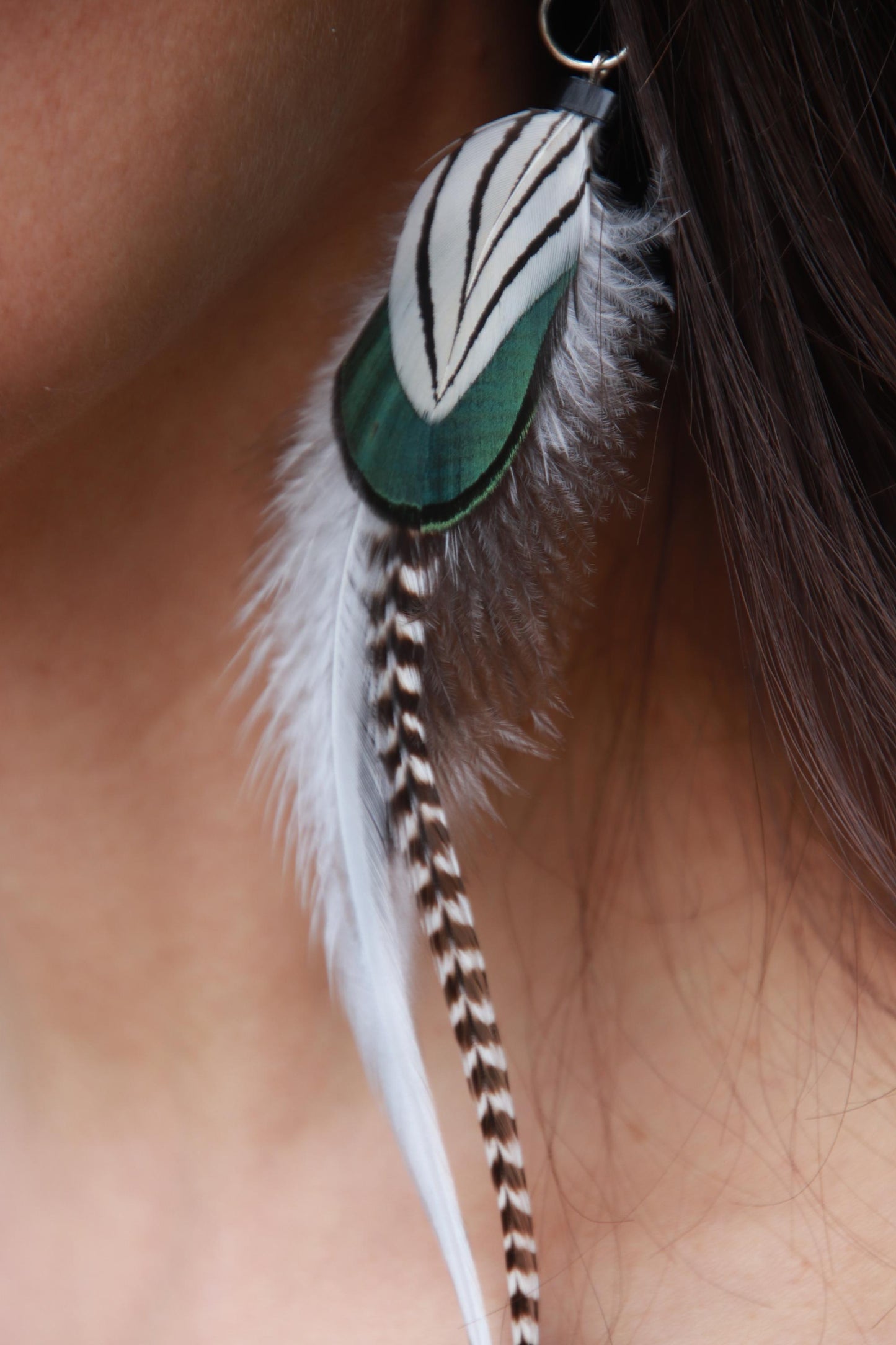 Green, White, Grizzly Roosters/Silver Pheasant