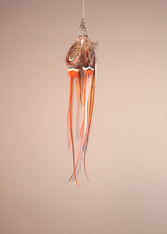 Red, Brown Rooster/Ring Neck Pheasant/Emu