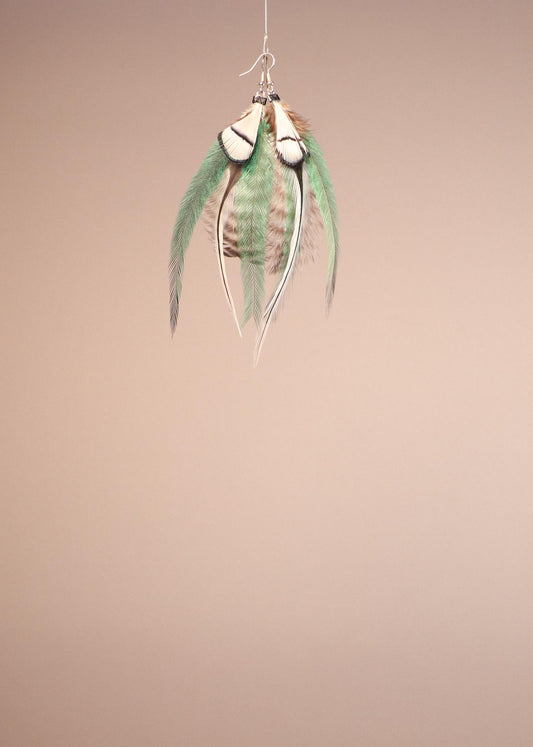 Green, White, Grizzly Rooster/Emu/Lady Amherst pheasant