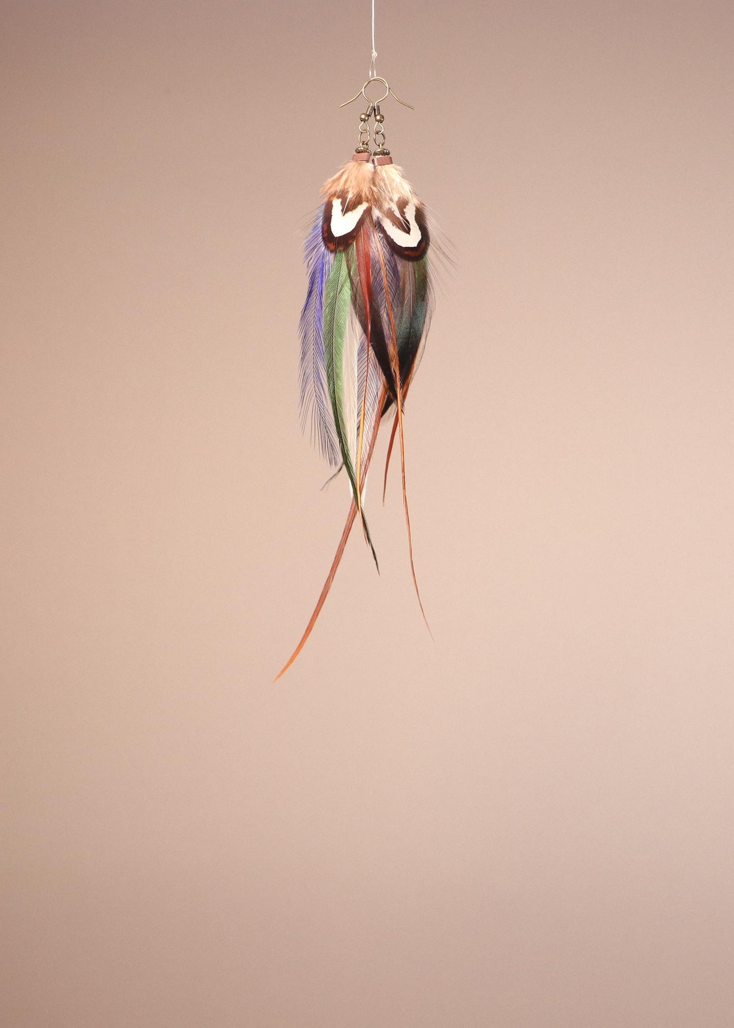 Blue, Green, Brown, White Rooster/Emu/Reeves Venery pheasant