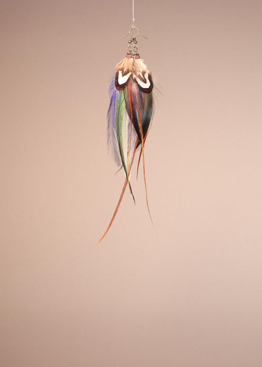 Blue, Green, Brown, White Rooster/Emu/Reeves Venery pheasant