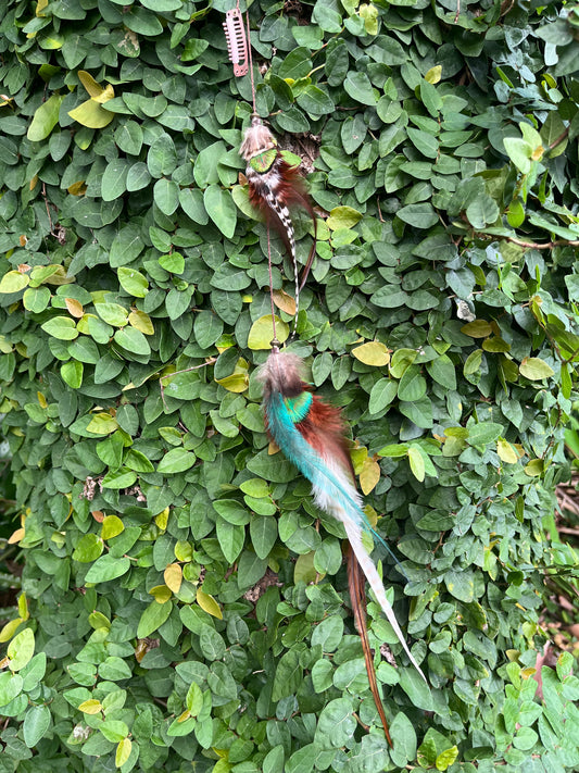 Double Peacock Elegance